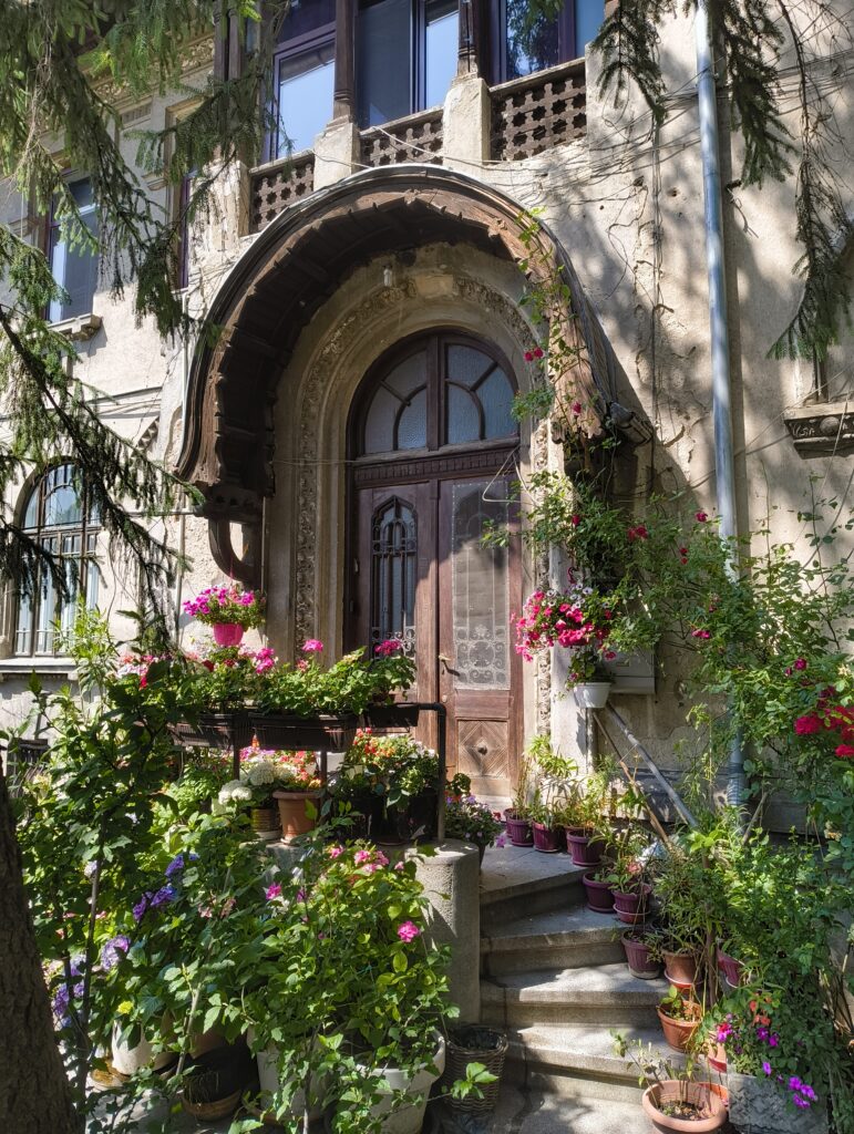 IMG 20250615 110237519 771x1024